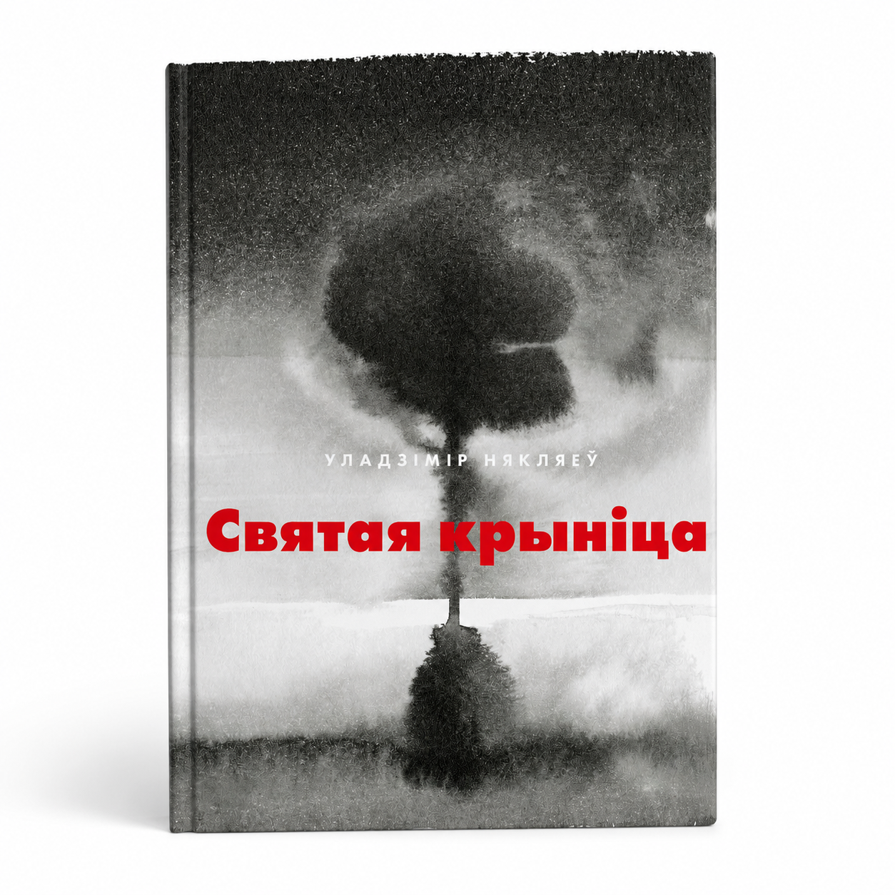 Кніга «Святая крыніца» Уладзімір Някляеў