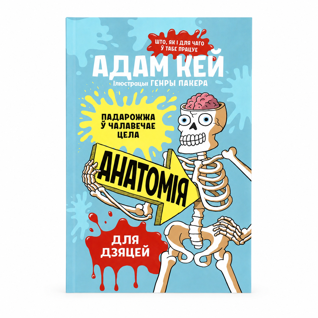 Book "Anatomy for Kids" Adam Kay KROPKA