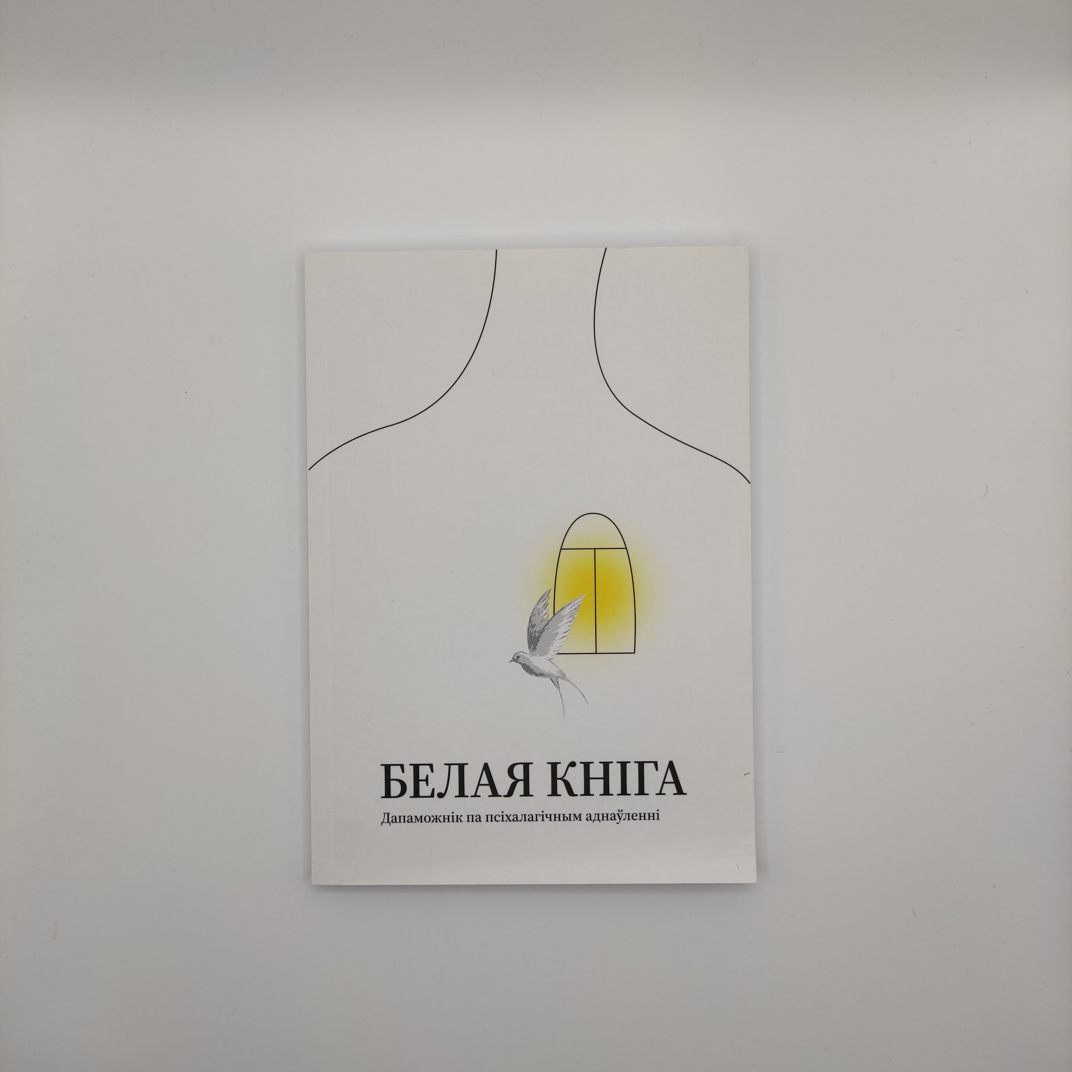 Кніга "Белая кніга. Дапаможнік па псіхалагічным аднаўленні" Марына Літвіненка, Марта Скухарава, Вераніка К.