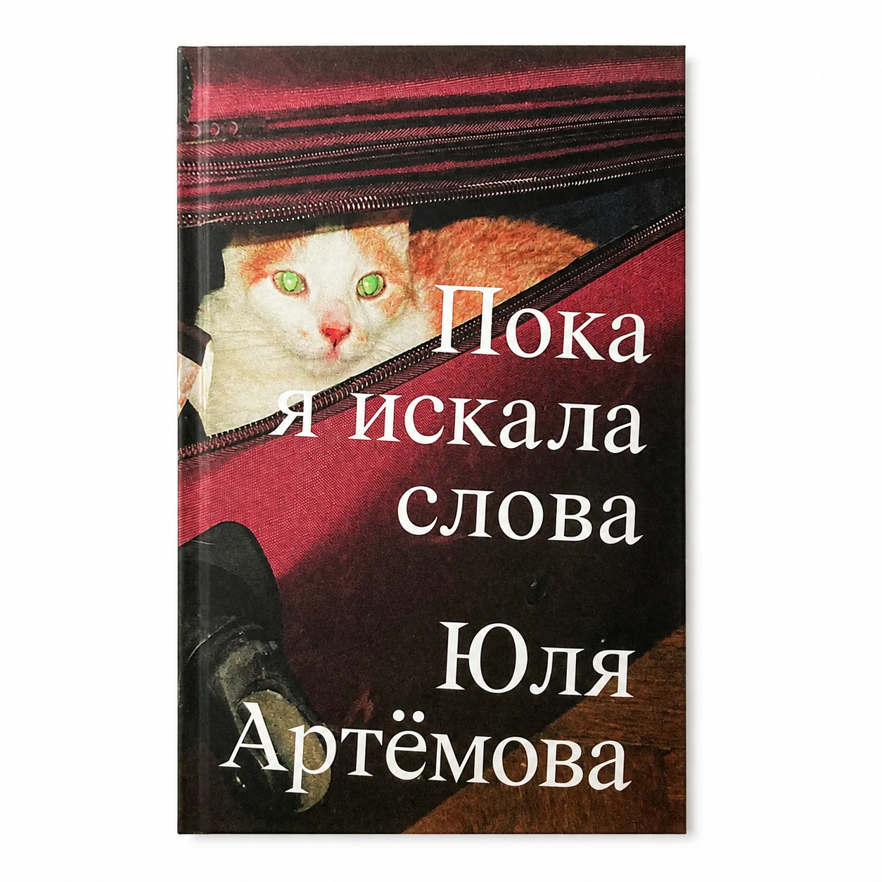 Book "While I Was Looking for Words" Yulia Artyomova